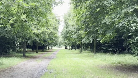 A scenic walk along a tree-lined alley, a shady route in the middle of a hot sum 스톡 동영상 283757114