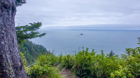Scenic walking trail on Clatsop Loop Trail overlooking ocean cliffs along the Or Stock Footage 309289066