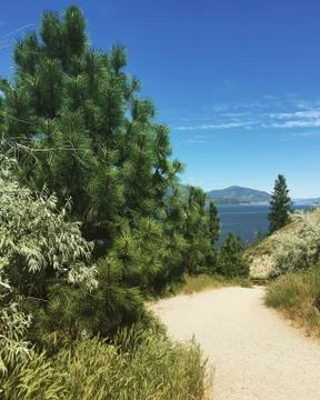 Scenic walking trail Stock Photos