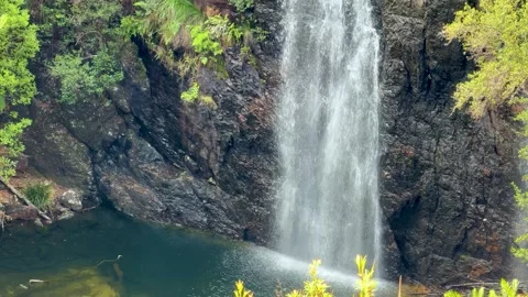 Scenic Waterfall Cascading into Deep Rocky Natural Pool in Forest Stock Footage 345024490