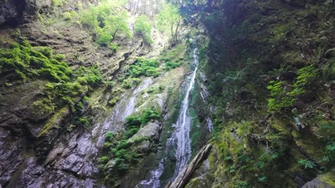 Scenic Waterfall Cascading Down Rugged Mossy Rock Canyon Wall Stock Footage 346491782