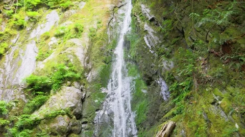 Scenic waterfall cascading down a steep mossy canyon rock face in forest Stock Footage 342141705