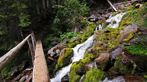 Scenic Waterfall Cascading Over Mossy Rocks Under Wooden Footbridge on Spray Par Video stock 332091504