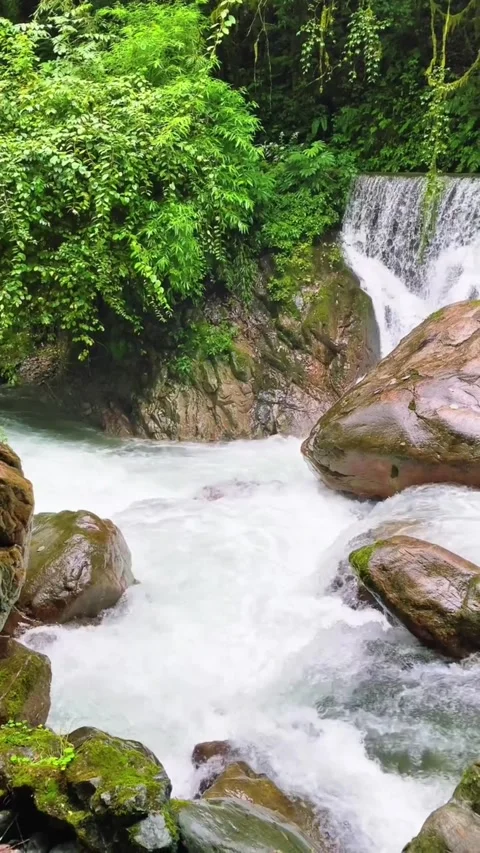 A scenic waterfall cascading over mossy rocks into a rushing river stream Vidéo 334163974