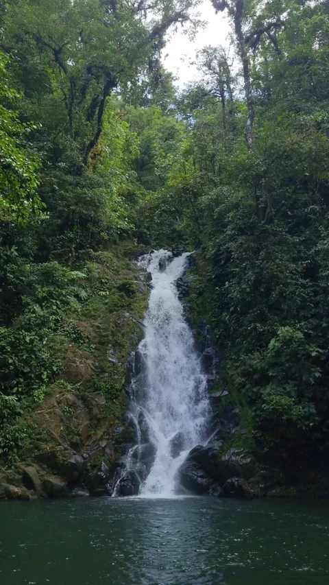 Scenic waterfall cascading into a pristine jungle pool in lush rainforest Stock Footage 345100841