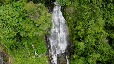Scenic waterfall cascading through lush jungle. Na Mueang Waterfall. Ko Samui Stock Footage 301946550