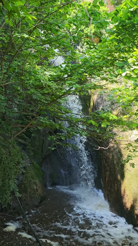 Scenic Waterfall Cascading Through Lush Green Forest Stock Footage 339494334