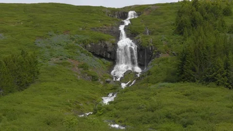 Scenic Waterfall Flowing Down a Lush Green Hillside in Iceland Stock Footage 339772689