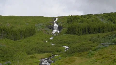 Scenic Waterfall Flowing Down a Lush Green Hillside in Iceland Stockbeeldmateriaal 339772817