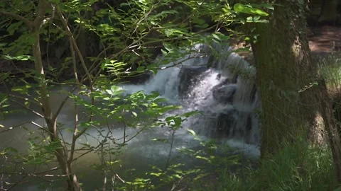 Scenic waterfall flowing through green forest stream Stock Footage 337036227