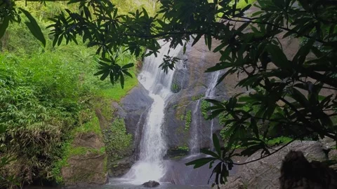 Scenic Waterfall Flowing Through Lush Forest Framed by Leaves Stock Footage 313149800