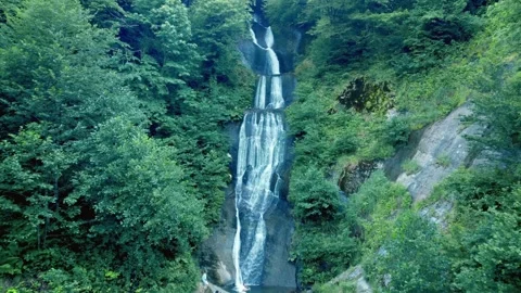 Scenic waterfall flowing through a lush green forest mountain 動画素材 343316010