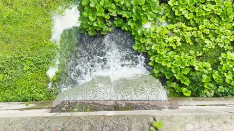 A scenic waterfall flows through a lush green park in Pushkin, Saint Petersburg. Video stock 344982019