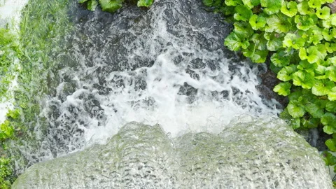 A scenic waterfall flows through a lush green park in Pushkin, Saint Petersburg. Video stock 344982873