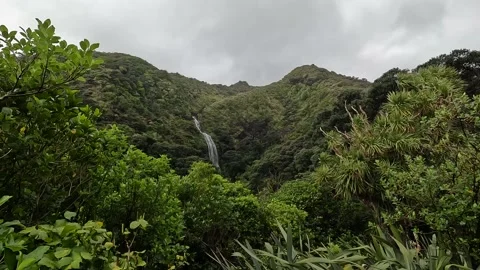Scenic waterfall Stock Footage 219670527