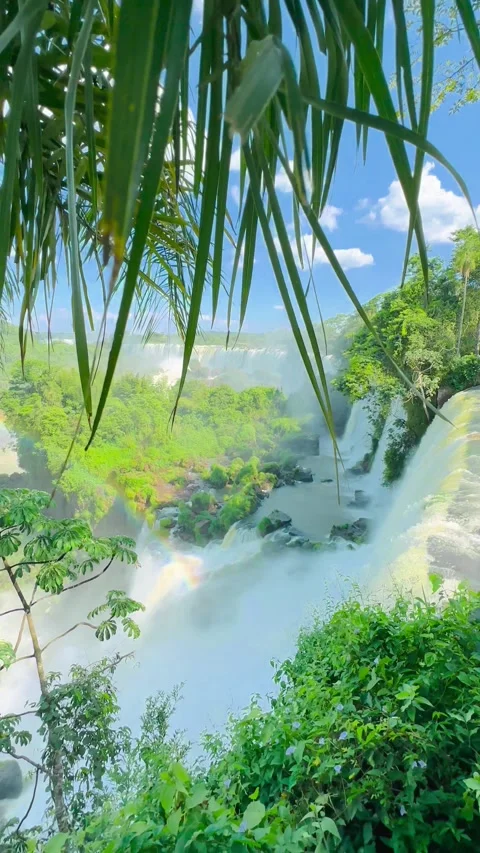 A scenic waterfall with lush greenery framed by tropical leaves under a bright Stock Footage 276618155