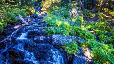Scenic Waterfall on the Naches Peak Loop Trail, Mount Rainier National Park Stock Footage 332141583