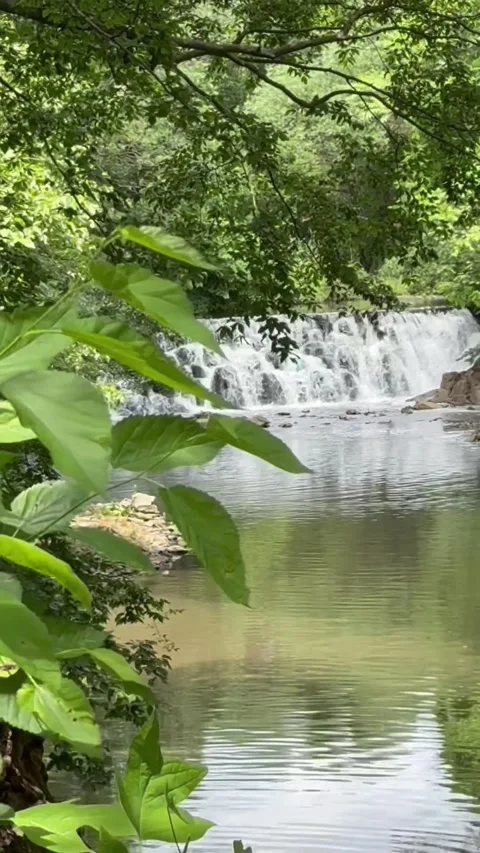 Scenic Waterfall in Natural Landscape Stock-Footage 335651283