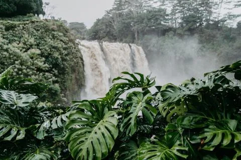 Scenic waterfall Stock Photos