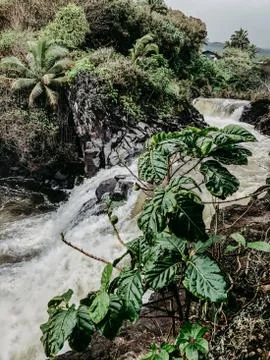 Scenic waterfall Stock Photos