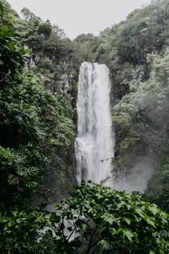 Scenic waterfall Stock Photos