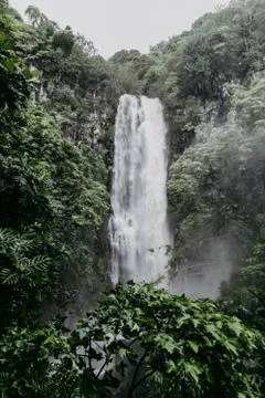 Scenic waterfall Stock Photos