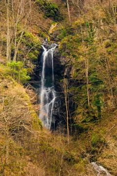 Scenic waterfall in slow motion flow Stock Photos