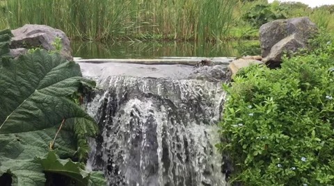 Scenic Waterfall Slow Motion Vidéo 54242635