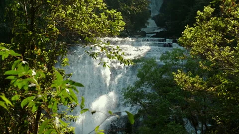 Scenic waterfall surrounded by lush greenery in forest, showcasing Stock Footage 281275897