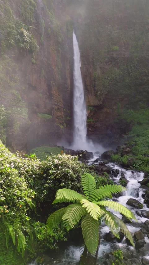 Scenic waterfall view with mist and lush jungle plants in East Java, Indonesia Stock Footage 312434594