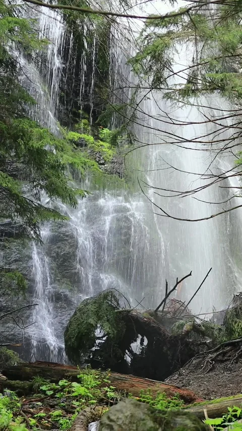 Scenic Waterfall in a Wild Forest Setting Stock Footage 284731967