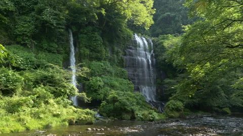 Scenic Waterfalls in a Forest in Spring Stock Footage 155533629
