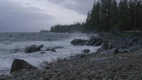 Scenic waves and coast on Prince of Wales Island Alaska Stock Footage 195020079