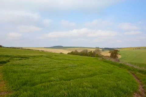 Scenic wheat fields Stock Photos