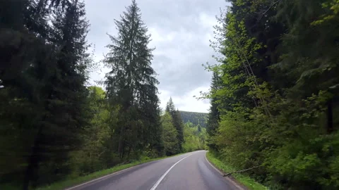 Scenic Winding Road Through Lush Green Forests Under a Beautifully Cloudy Sky Stock Footage 314465101