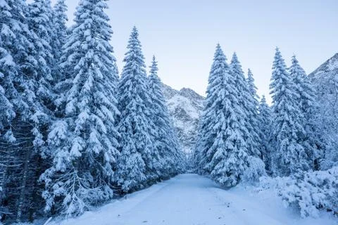 Scenic winter alpine background Foto stock