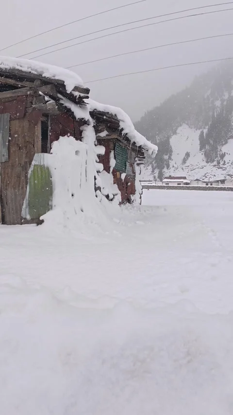 Scenic Winter Landscape with Falling Snow Over old wooden cabin Stock Footage 327690440