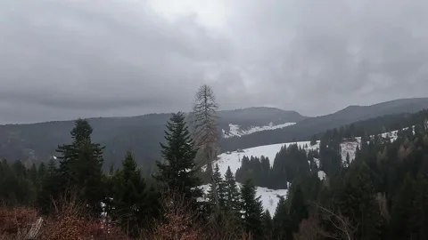 Scenic Winter Mountain Landscape with Pine Forest and Snow, Folgaria Italy Stock Footage 328034548