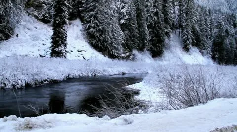 Scenic Winter Scene Stock Footage 12631709