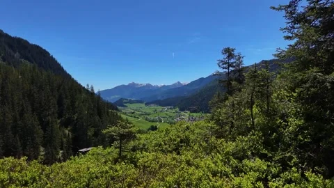 Scenically Framed View of Alpine Landscape Through Forest Trees 库存影片 343913993