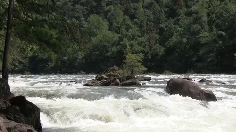 Scenics from Ocoee River Tennessee Stock Footage 93846855