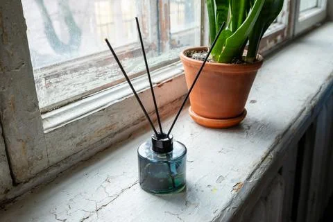 Scent diffuser with reed sticks on old windowsill near houseplant for home Stock Photos