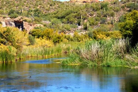 A scerne river Stock Photos