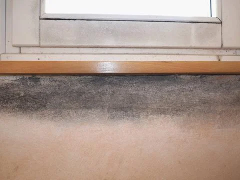 Schäden durch Feuchtigkeit und Feuchtigkeit an einer Wand *** Damages thro.. Stock Photos