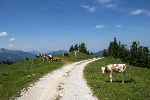 Schafberg, Austrian Alps Stock-Fotos