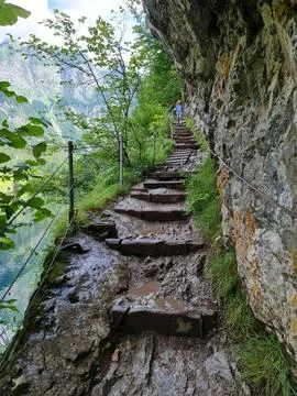 Schafberg 写真素材