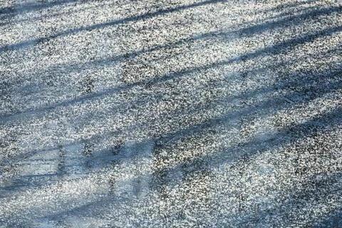  Schatten fallen auf Eis, Lappland Schatten fallen auf Eis, Norrbotten, La... Stock-Fotos