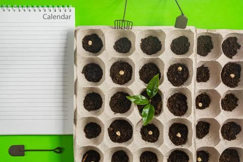 Schedule for planting plants in spring. Flat lay. Home hobby Stock Photos