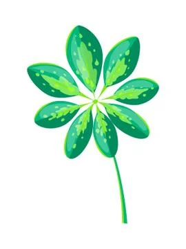 Schefflera Arboricola Leaf Vector Illustration Stock Illustration