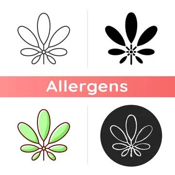 Schefflera icon Stock Illustration